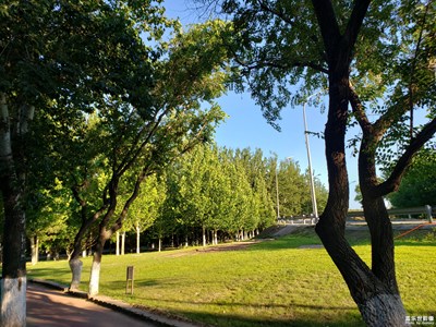 【回首尋美之路】+我的尋美之路