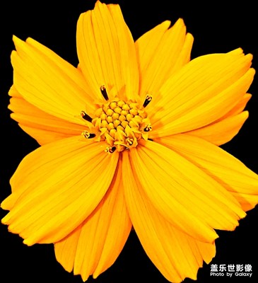 這個(gè)，我覺(jué)得三星做的還是不錯(cuò)的