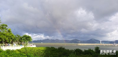 遙望香港