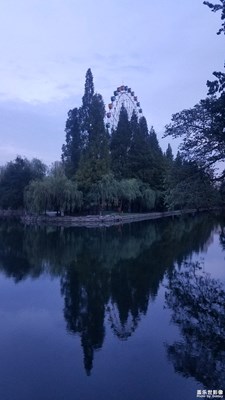 夜幕下的摩天輪