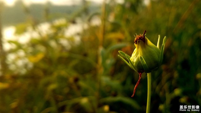 【每周精帖匯158-159】三星Galaxy A80的正式首銷