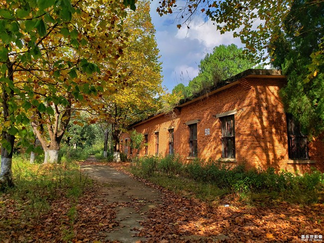 【每周精帖匯158-159】三星Galaxy A80的正式首銷