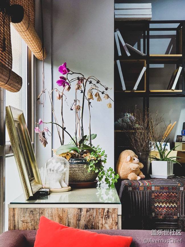 上海星部落陶牧居4周年活動