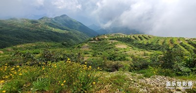 山青水秀