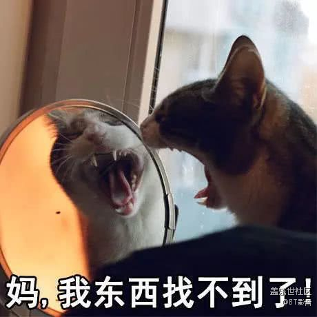 現(xiàn)實(shí)版小白的錢(qián)，哥嫂的甜！