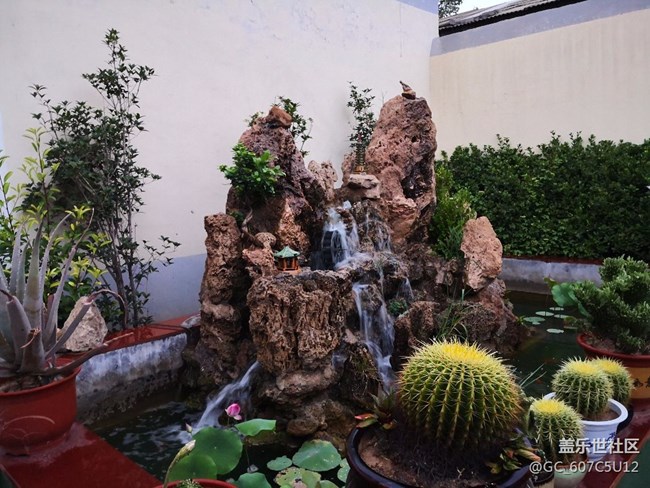 隨拍