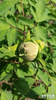 【回首尋美之路】+美麗瞬間