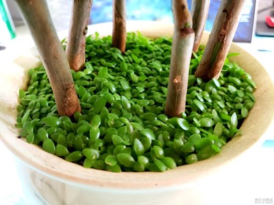 【心水好物】+我的最愛