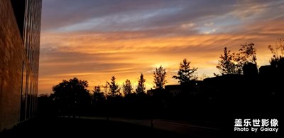 夕陽美