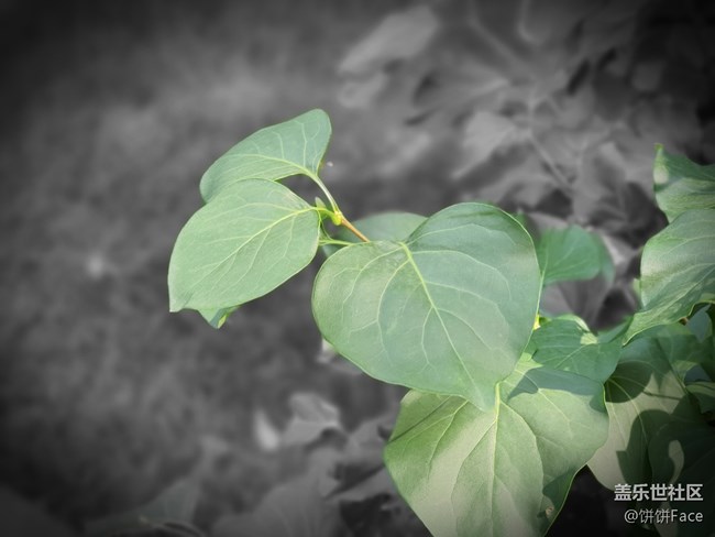 “十”代星力量 三星Galaxy Note10系列全面評(píng)測(cè)