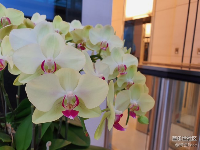 “十”代星力量 三星Galaxy Note10系列全面評(píng)測(cè)