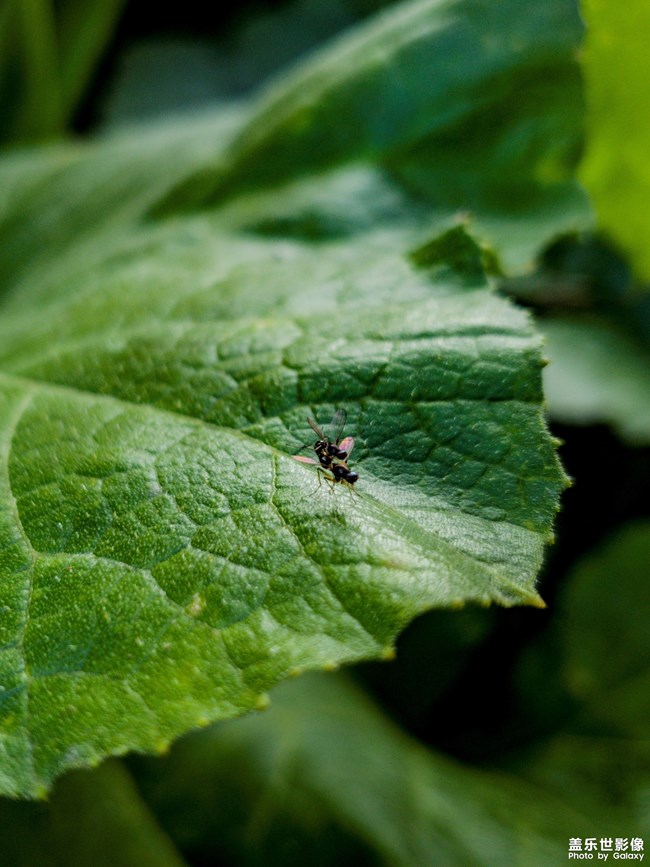 【shot on SAMSUNG】