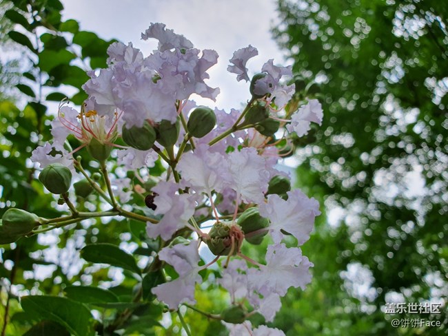 “十”代星力量 三星Galaxy Note10系列全面評(píng)測(cè)