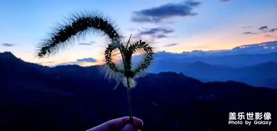 七夕快樂