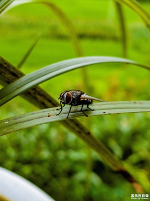 【shot on SAMSUNG】