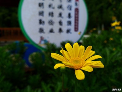 發(fā)現(xiàn)美