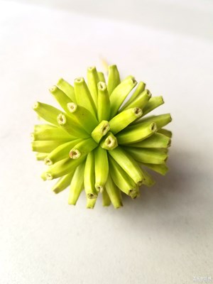 拍個(gè)球