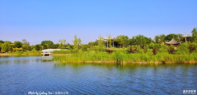 Galaxy S10+【在水一方】