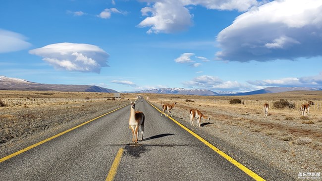 【每周精帖匯160】Galaxy Note10系列閃亮登場(chǎng)