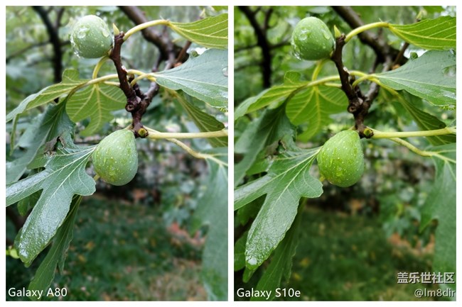 【Galaxy A80星粉體驗(yàn)活動(dòng)】相比S10系列,A80算是真旗艦嗎?