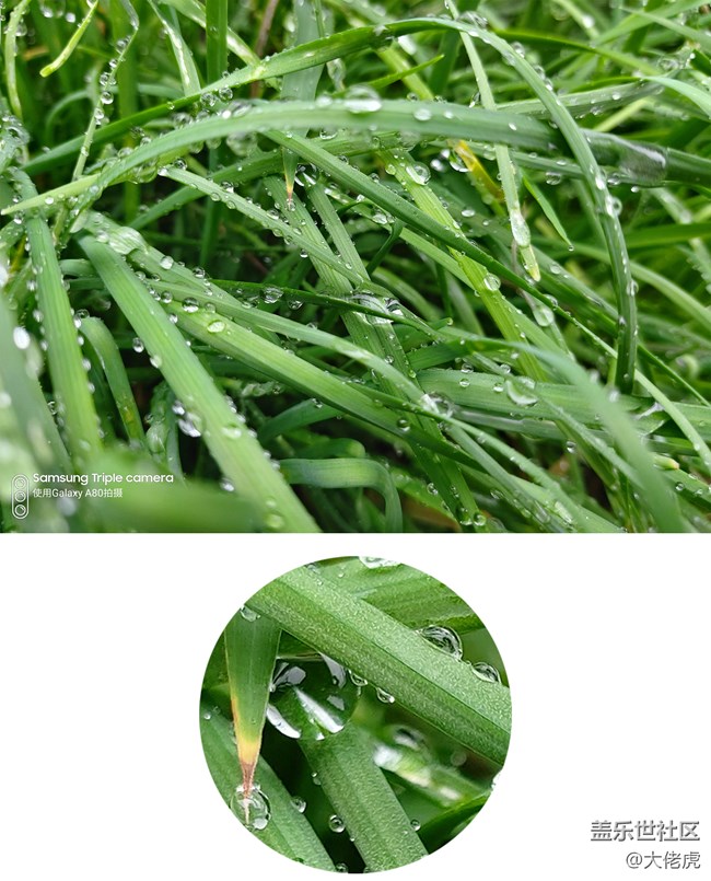 【Galaxy A80星粉體驗活動】 集黑科技于一機的大膽創(chuàng)新 【Galaxy A80星粉體驗活動】 集黑科技于一機的大膽創(chuàng)新