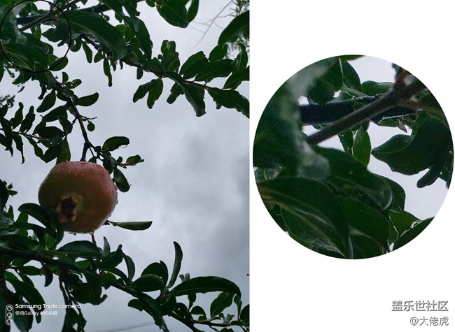 【Galaxy A80星粉體驗活動】 集黑科技于一機的大膽創(chuàng)新 【Galaxy A80星粉體驗活動】 集黑科技于一機的大膽創(chuàng)新