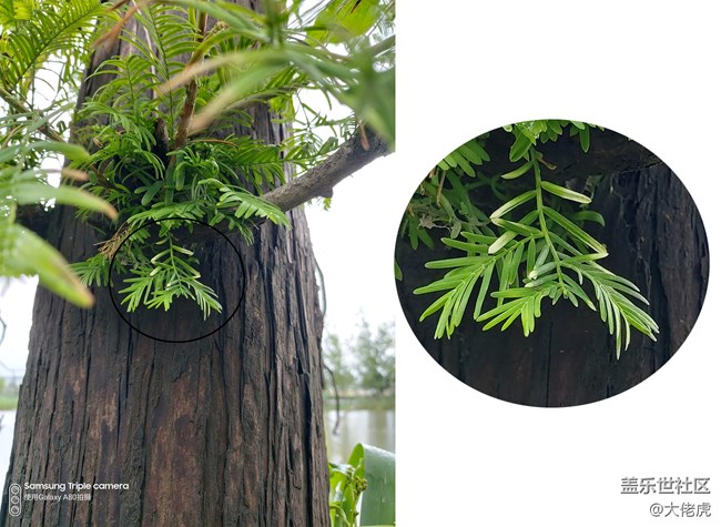 【Galaxy A80星粉體驗活動】 集黑科技于一機的大膽創(chuàng)新 【Galaxy A80星粉體驗活動】 集黑科技于一機的大膽創(chuàng)新