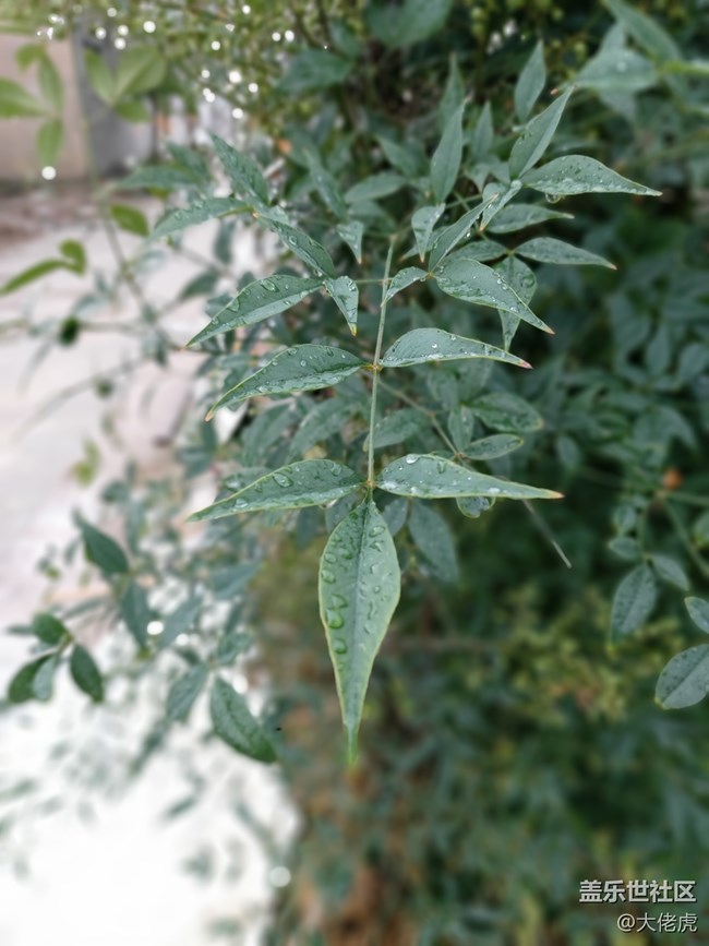 【Galaxy A80星粉體驗活動】 集黑科技于一機的大膽創(chuàng)新 【Galaxy A80星粉體驗活動】 集黑科技于一機的大膽創(chuàng)新