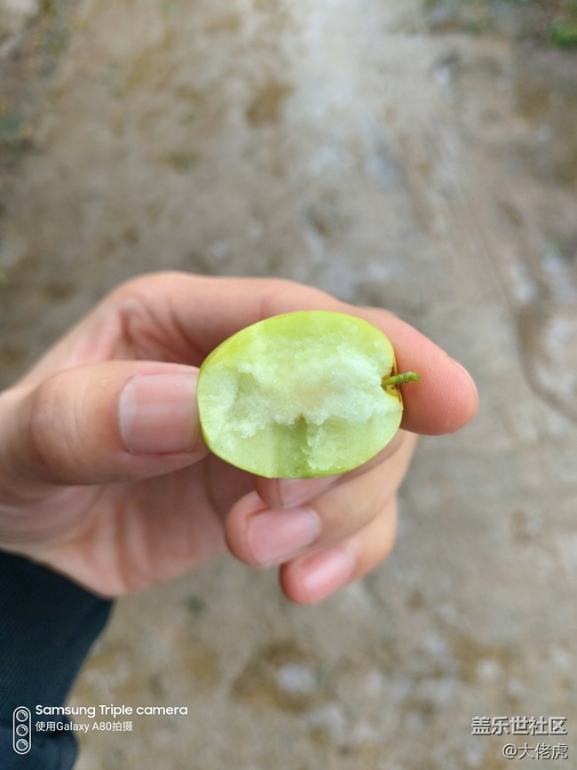 【Galaxy A80星粉體驗活動】 集黑科技于一機的大膽創(chuàng)新 【Galaxy A80星粉體驗活動】 集黑科技于一機的大膽創(chuàng)新