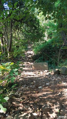 上山隨拍