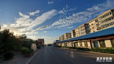 晨