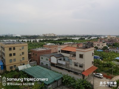 隨拍拍