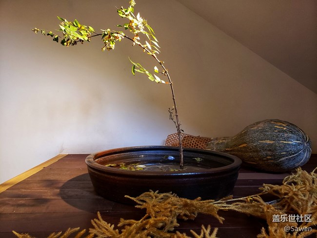 【Bixby游記】蘇州老字號生煎