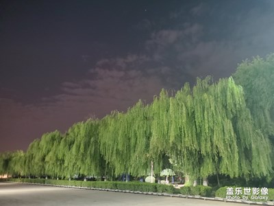 夜拍