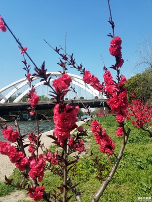 【城市足印】+橋
