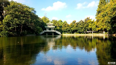 【城市足印】+公園的水邊