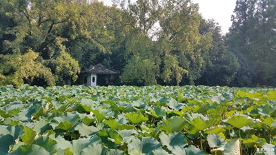 景點之 包河