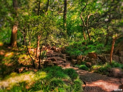 【城市足印】+城市中的那抹綠色