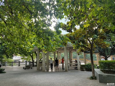 小花園與橋