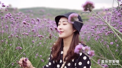 花海一游