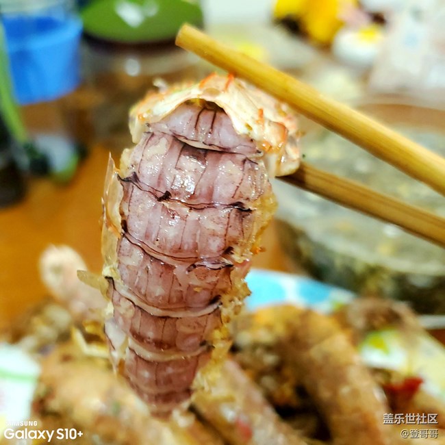 【登哥DIY日?！?0塊錢暴力搞定椒鹽皮皮蝦，要不要來試試？