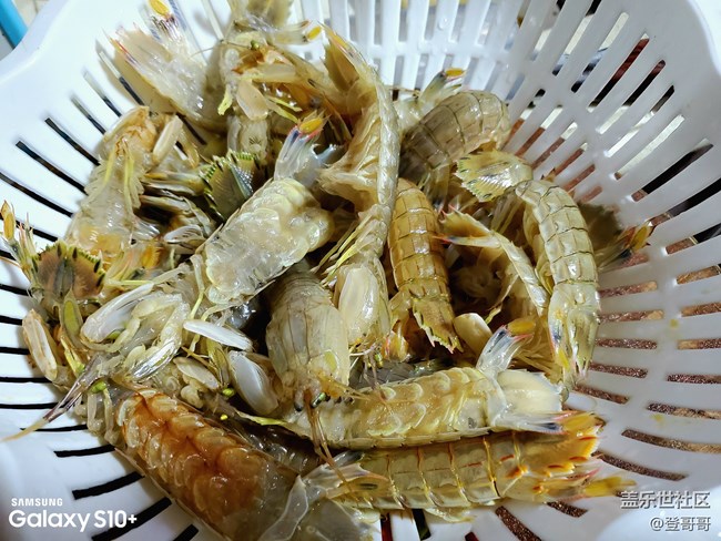 【登哥DIY日?！?0塊錢暴力搞定椒鹽皮皮蝦，要不要來試試？