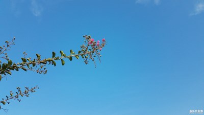 服務(wù)區(qū)的天空及水處理