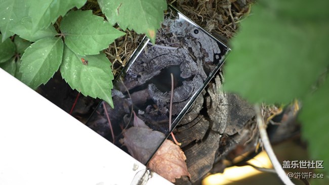 真真假假·虛實(shí)結(jié)合 尋找消失的Galaxy Note10