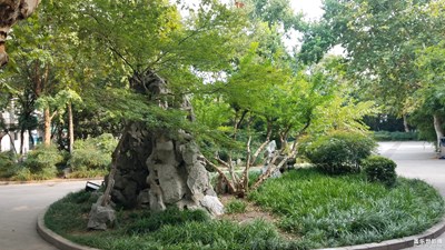 園林管理處