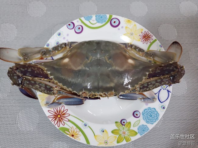 【登哥美食志】60塊錢教你玩轉(zhuǎn)姜蔥梭子蟹