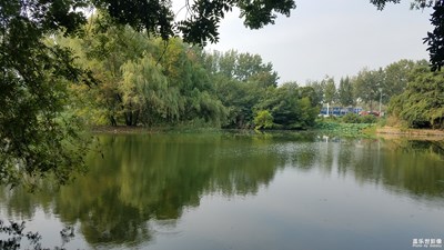 【最夏天】+荒廢的公園