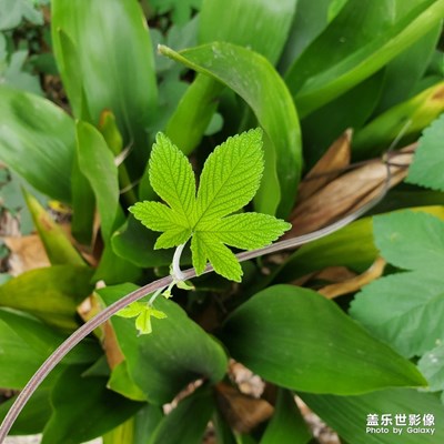 生活隨拍