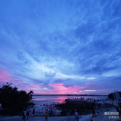 隨拍