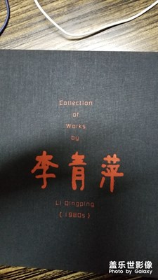 蓋8加自拍
